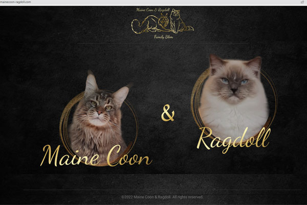 Создание сайта для питомника кошек von Curlprime