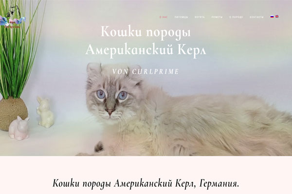 Создание сайта для питомника кошек von Curlprime
